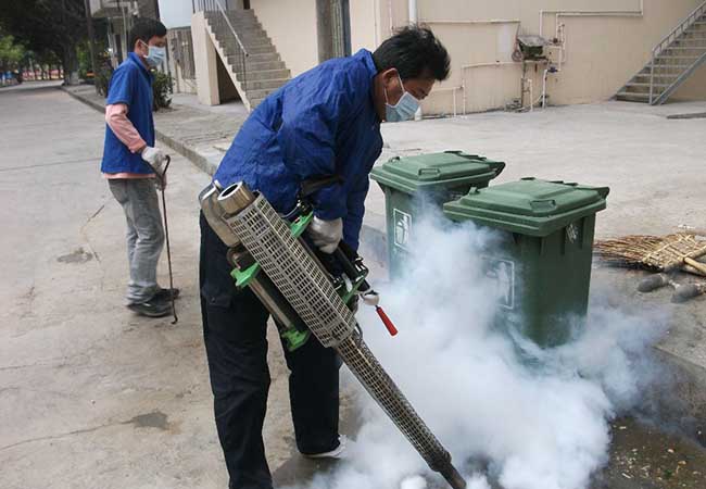 殺蟲滅鼠服務 殺蟲滅鼠服務
